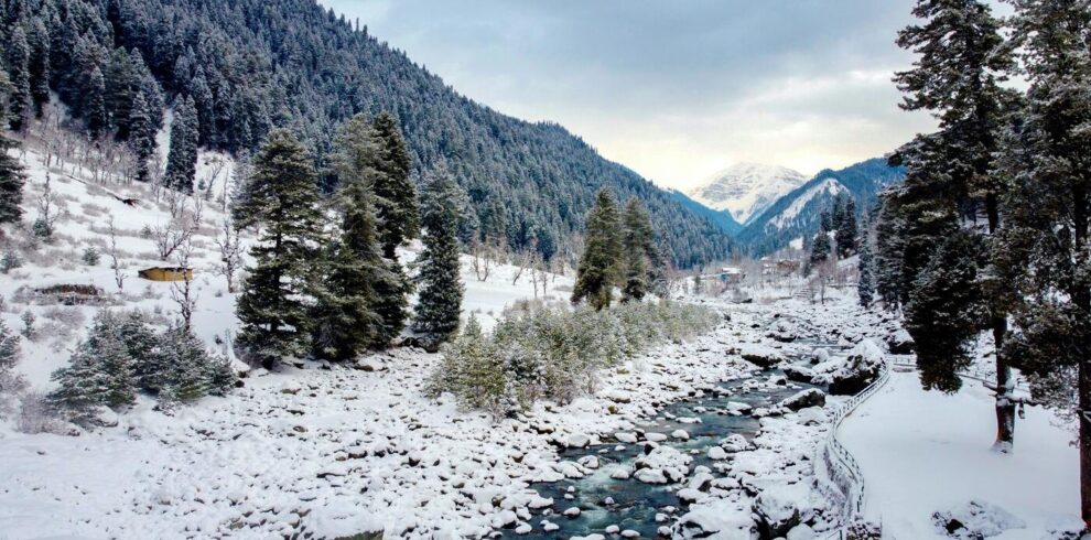 Kashmir