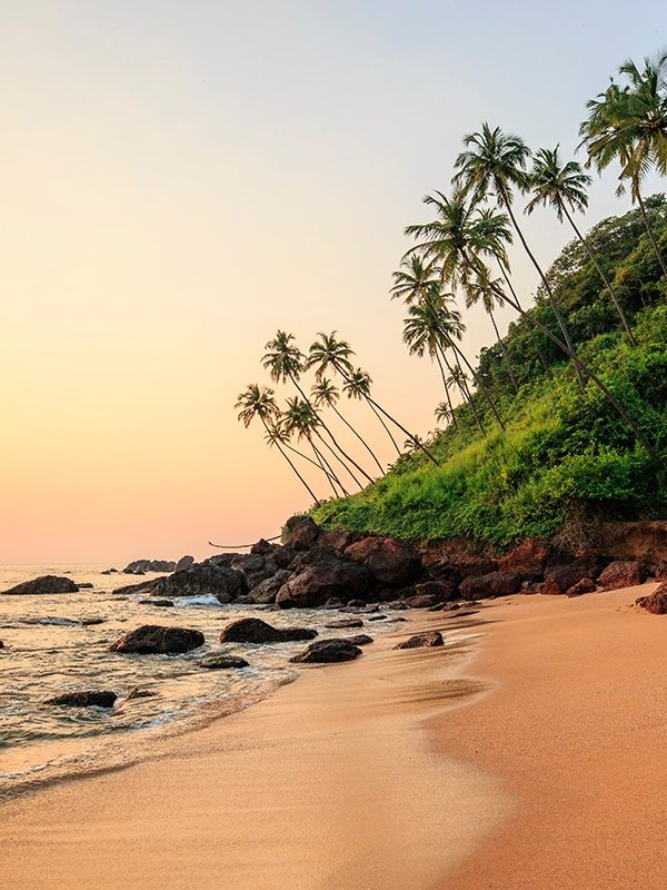 GOA